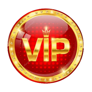 secret vip vpn